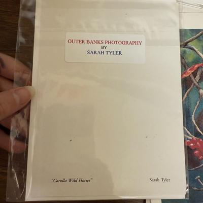 Collection of Greeting Cards for All Occasions (UL-BM)
