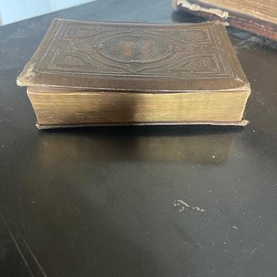 Douay & Rheims Holy Bible from 1884 (BS-MG)