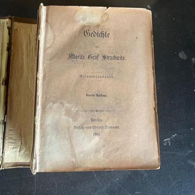 Douay & Rheims Holy Bible from 1884 (BS-MG)