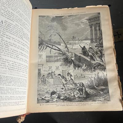Douay & Rheims Holy Bible from 1884 (BS-MG)