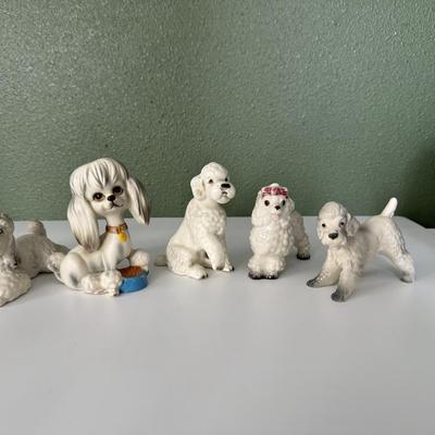 Group of small poodles