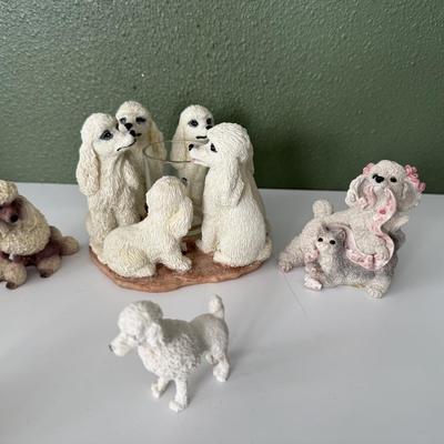 Group of poodles