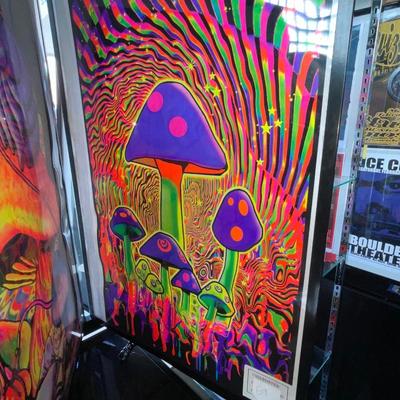 X211-assorted posters