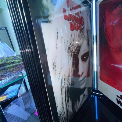 X209-assorted posters