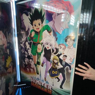 X206-assorted posters