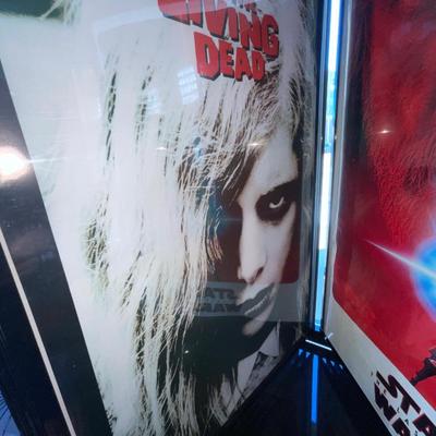 X205-assorted posters