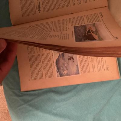 Old 1932 Sanella Sports Book Containing a real Babe Ruth baseball card