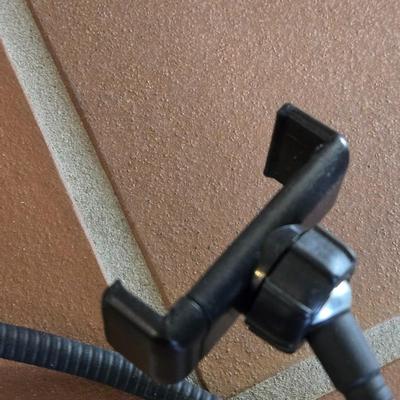 Clip On Cellphone Holder with Ring Light & Remote