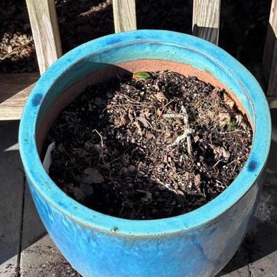 Norca Pottery and Other Ceramic Glazed Garden Pots (BD-DZ)