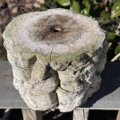 Several Cement Pots (BD-DZ)