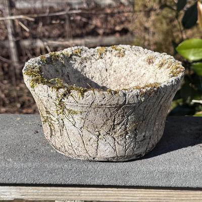 Several Cement Pots (BD-DZ)
