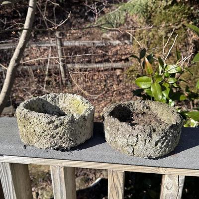 Several Cement Pots (BD-DZ)
