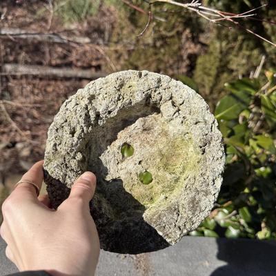 Several Cement Pots (BD-DZ)