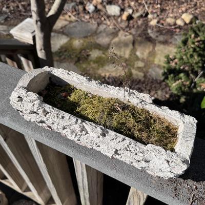 Several Cement Pots (BD-DZ)