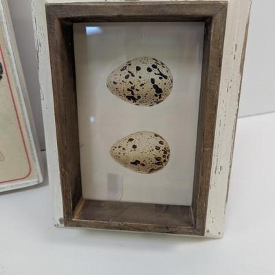 Canary Birds In Basket & Egg/Nest Decor