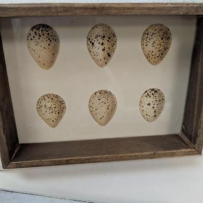 Canary Birds In Basket & Egg/Nest Decor