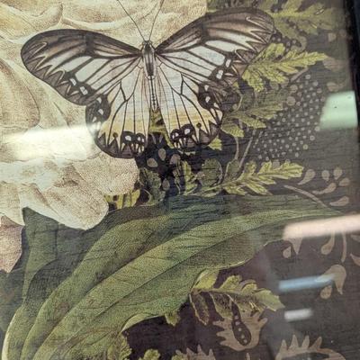 Framed 18" x 18" Flower With Butterfly Art