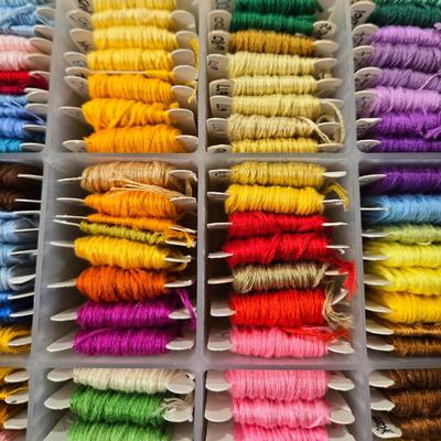 Embroidery Thread Lot with Organizer #1