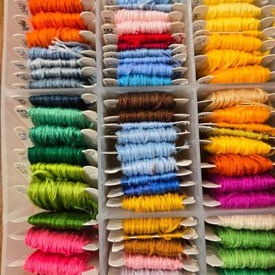 Embroidery Thread Lot with Organizer #1