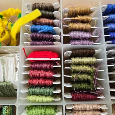 Embroidery Thread Lot with Organizer #2