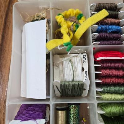 Embroidery Thread Lot with Organizer #2