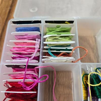 Embroidery Thread with Organizer #3