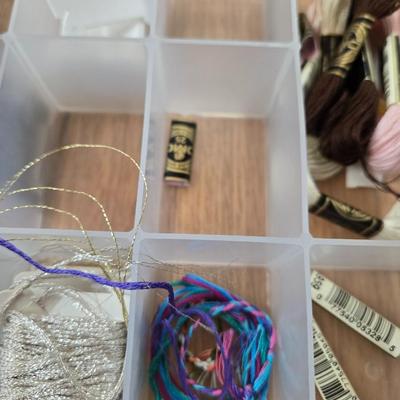 Embroidery Thread with Organizer #3