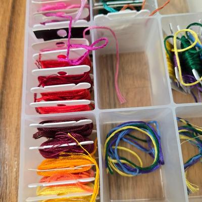 Embroidery Thread with Organizer #3