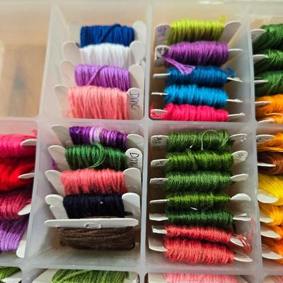 Embroidery Thread with Organizer #4