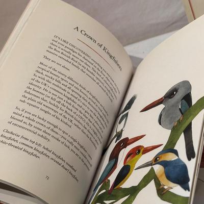Bird Art, Figurines, Books, & More (O-HS)
