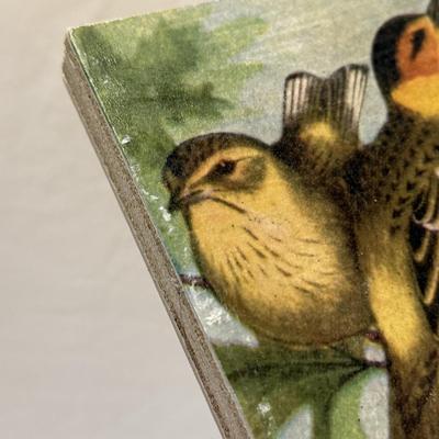 Bird Art, Figurines, Books, & More (O-HS)