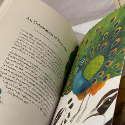 Bird Art, Figurines, Books, & More (O-HS)
