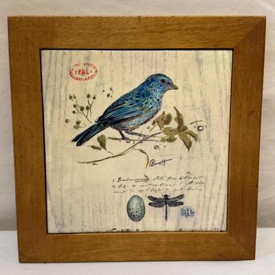 Bird Art, Figurines, Books, & More (O-HS)