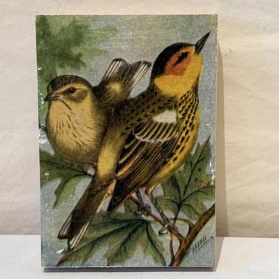 Bird Art, Figurines, Books, & More (O-HS)