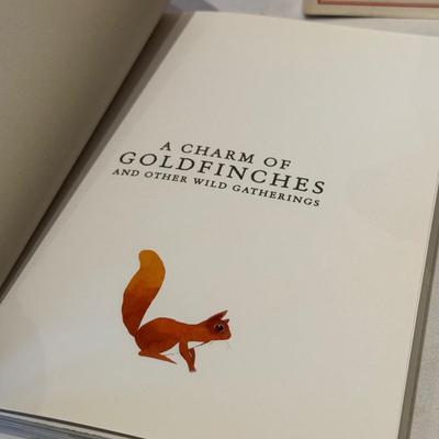 Bird Art, Figurines, Books, & More (O-HS)