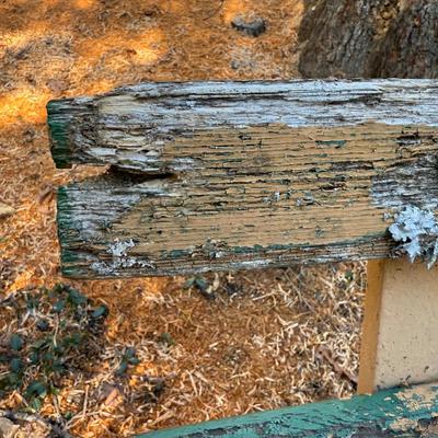 Mossy Garden Bench (LD-HS)