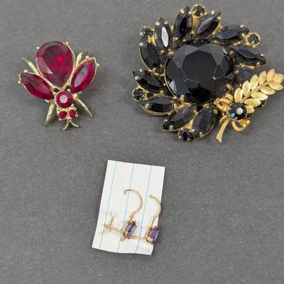 Rhinestone Brooch Pins & Earrings Rhinestone Fly