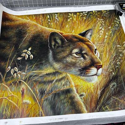 Painting Of a Cougar on Canvas, no Signature