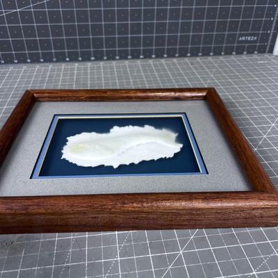 Limited Edition Titled BLUE WHALE Hand Cut Paper Framed
