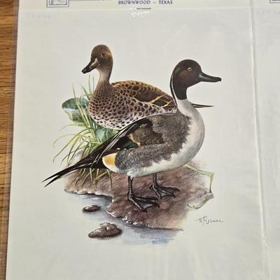 Vintage Print Prints