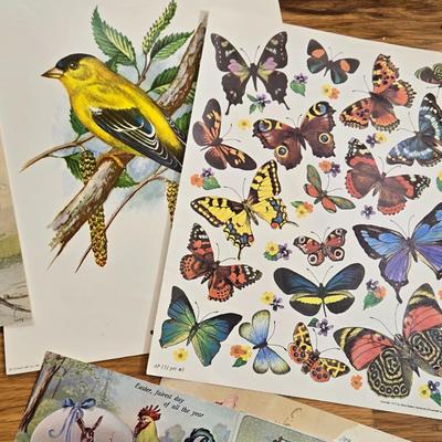 Vintage Birds and Butterfly Prints