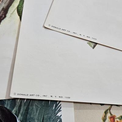 Vintage Birds and Butterfly Prints