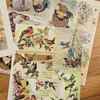 Vintage Birds and Butterfly Prints