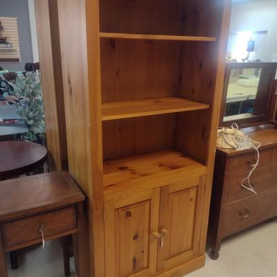 Wooden Adjustable Shelf Bookcase with Enclosed Storage Cabinet- Approx 32" x 16" x 72" Tall (Choice #2)
