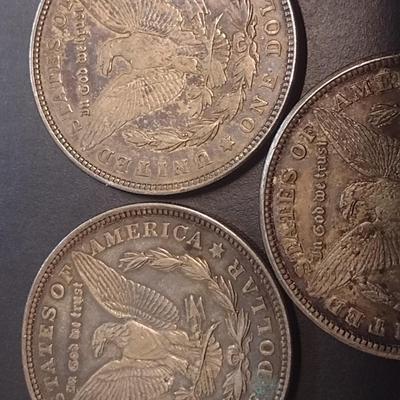 Set of Three 1921 U. S. Mint Morgan Silver Dollars Circulated (1)