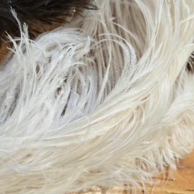 Feathers Lot