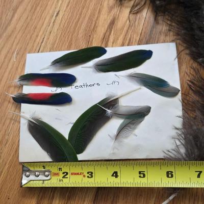 Feathers Lot