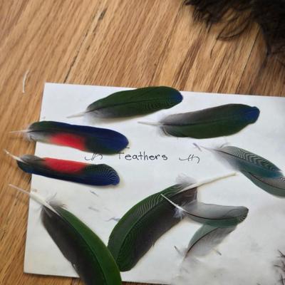 Feathers Lot