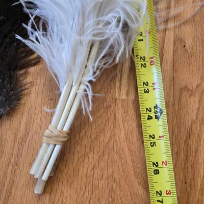 Feathers Lot
