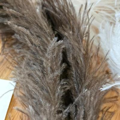 Feathers Lot